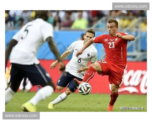 章鱼足球比赛实时直播精彩呈现 快来一起见证海洋之王的足球对决