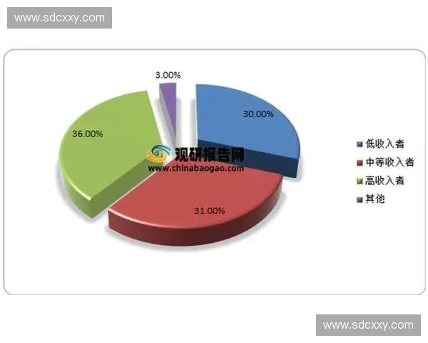 足球比赛协会发展现状及未来趋势分析与展望